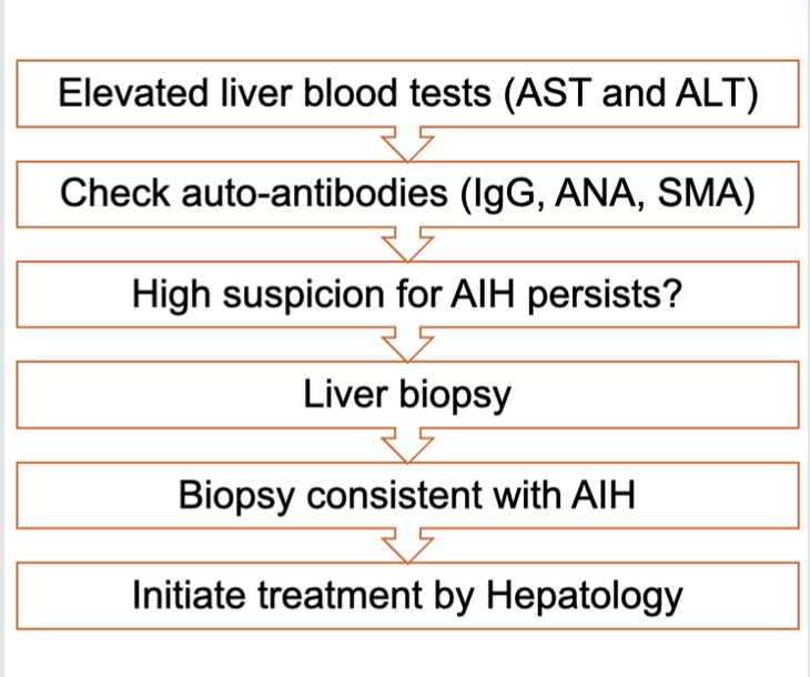 Back to Basics ANAlyzing Autoimmune Hepatitis AASLD
